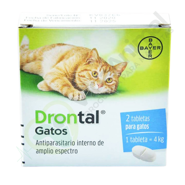 Dronta Gatos Desparasitante interno