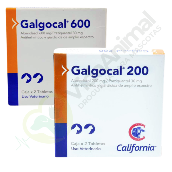 Galgocal