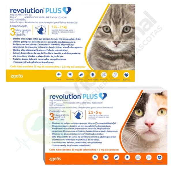 Revolution Plus Gatos