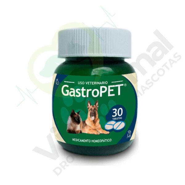 GASTROPET