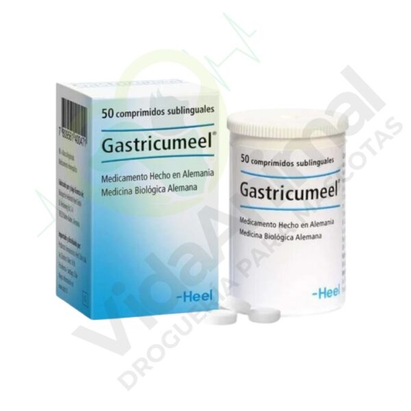 Gastricumeel